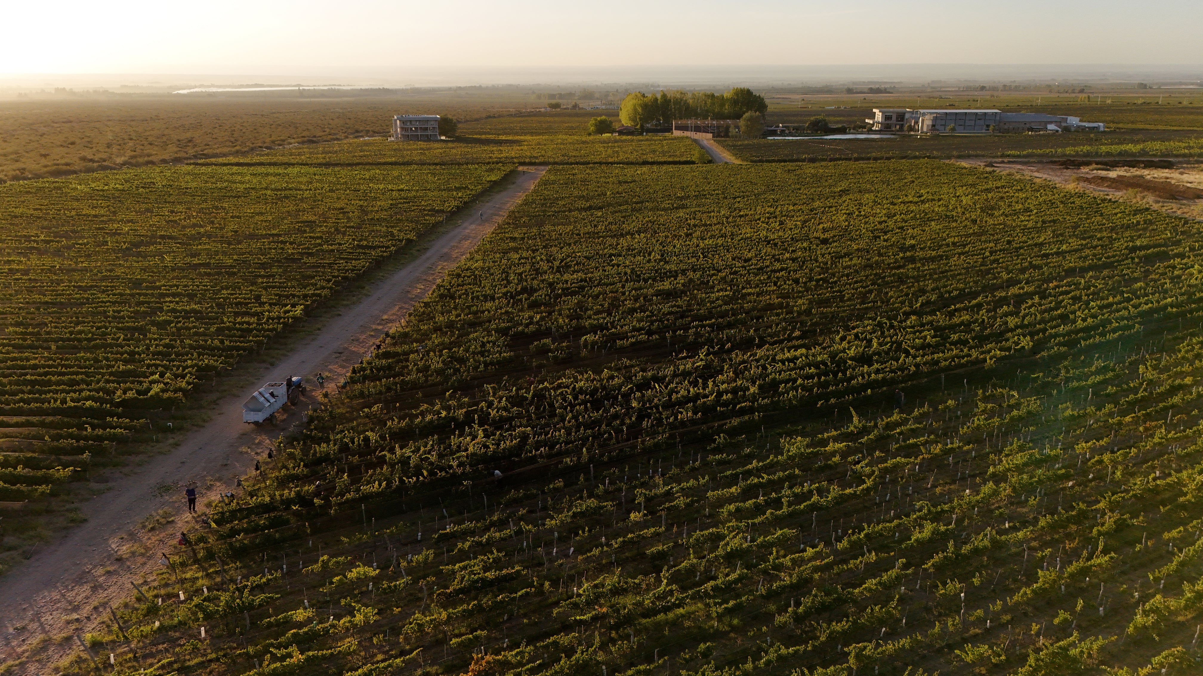 Discover The World of Organic