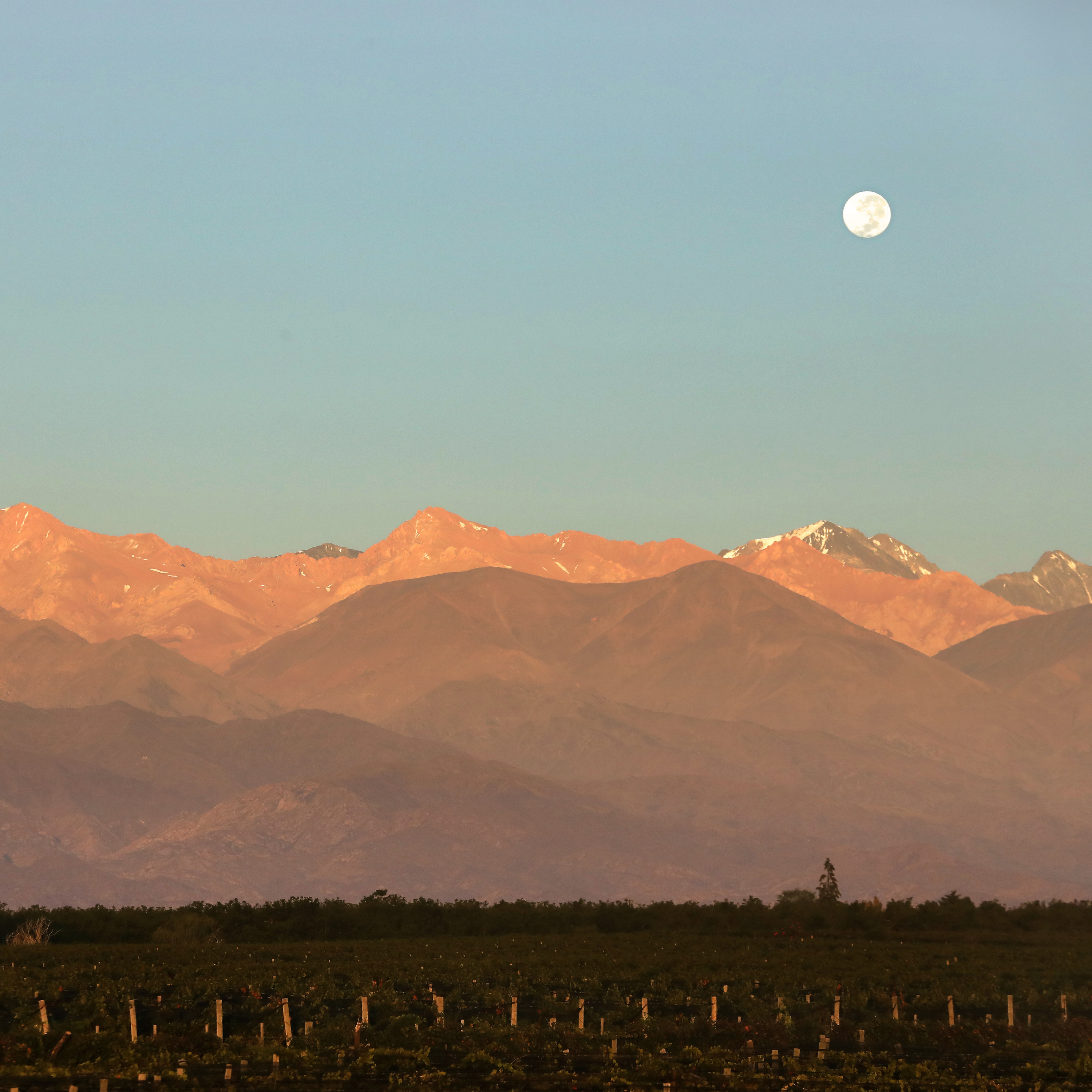Explore the luxury of The World of Organic
