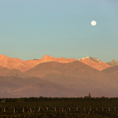 The Bounty of The Earth
