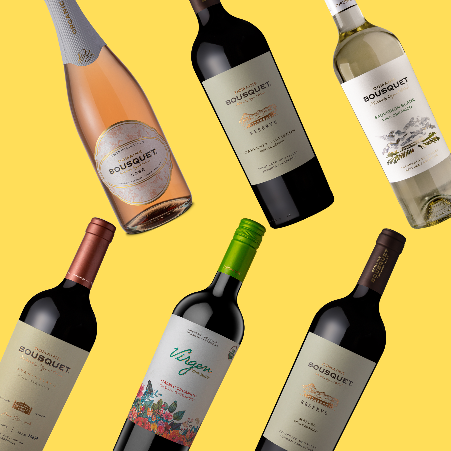 The Bounty of The Earth