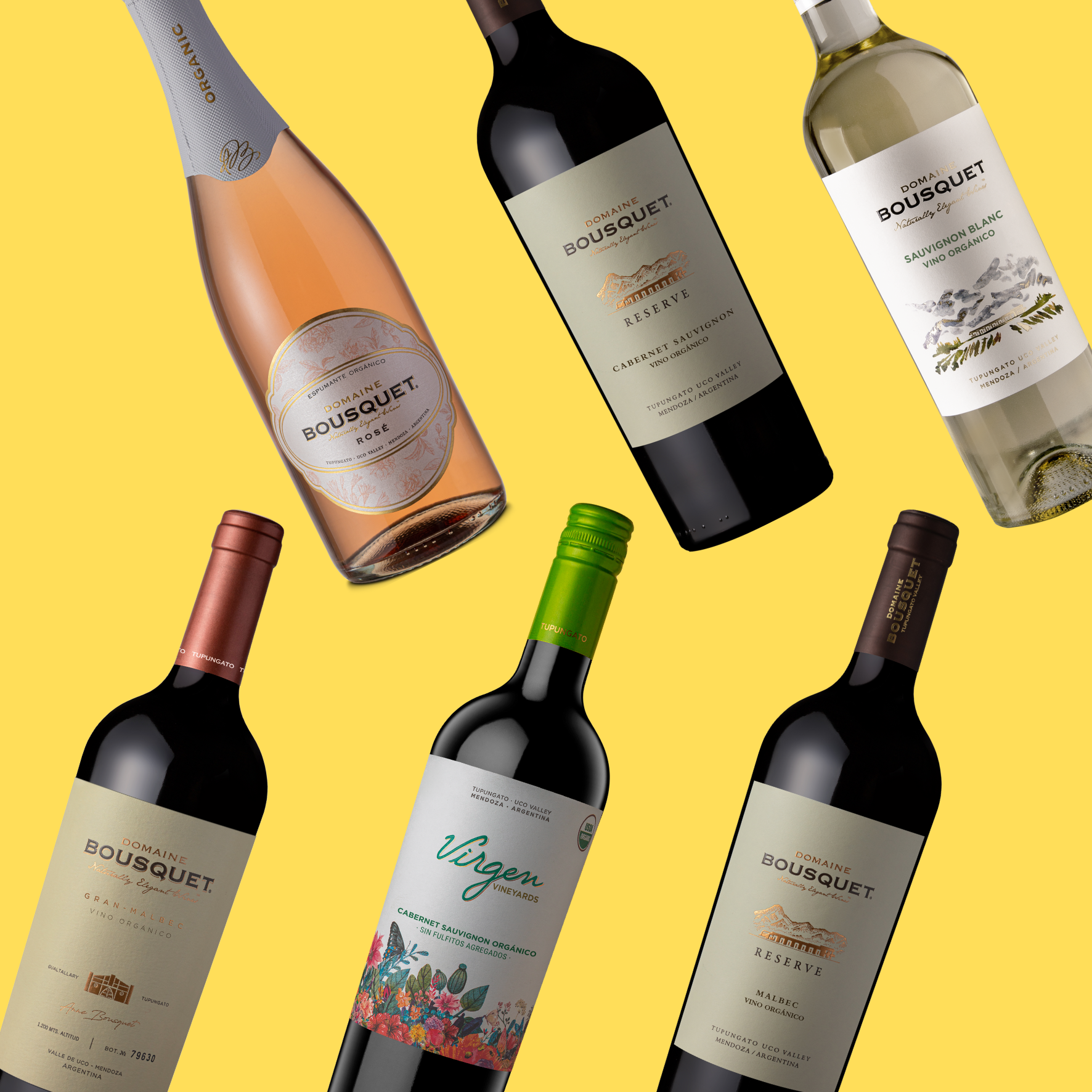 The Bounty of The Earth