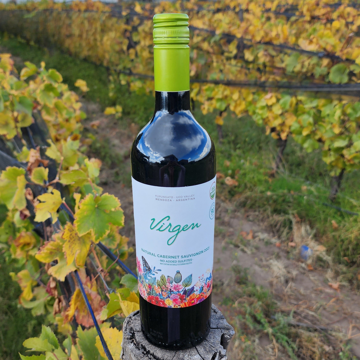 Virgen Organic Cabernet Sauvignon - No sulfites added – The World
